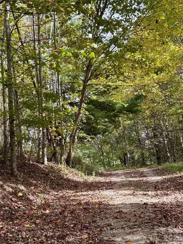 Tract 2 Turkey Trot Road Clyde NC 28721