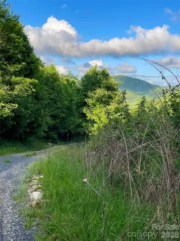Tract 2 Turkey Trot Road Clyde NC 28721