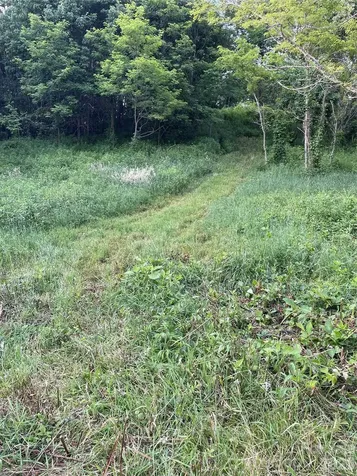 Tract 2 Turkey Trot Road Clyde NC 28721