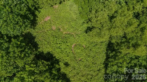 Tract 2 Turkey Trot Road Clyde NC 28721