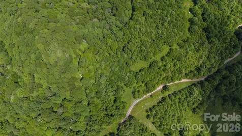 Tract 2 Turkey Trot Road Clyde NC 28721