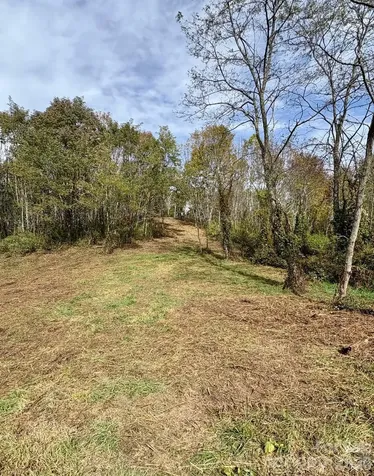 Tract 2 Turkey Trot Road Clyde NC 28721