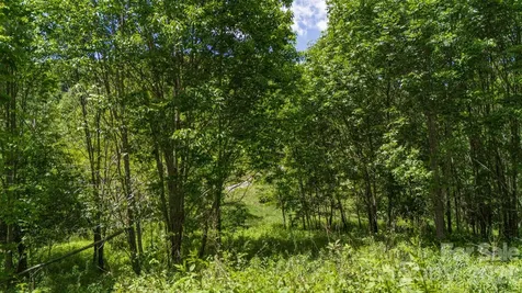 Tract 2 Turkey Trot Road Clyde NC 28721