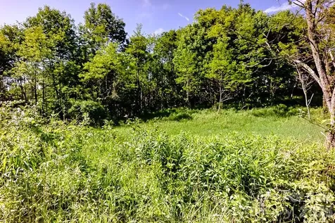 Tract 2 Turkey Trot Road Clyde NC 28721