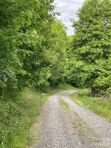 Tract 2 Turkey Trot Road Clyde NC 28721