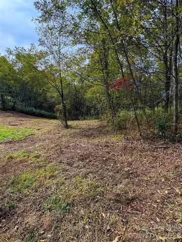 Tract 2 Turkey Trot Road Clyde NC 28721