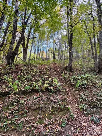Tract 2 Turkey Trot Road Clyde NC 28721