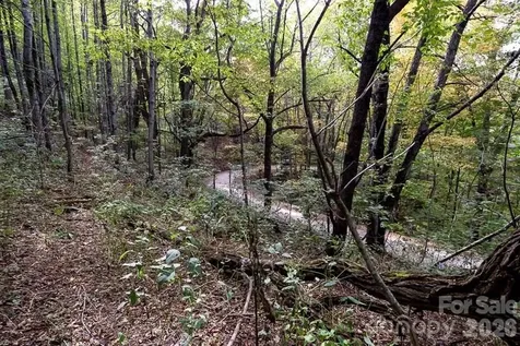 Tract 2 Turkey Trot Road Clyde NC 28721