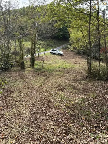 Tract 2 Turkey Trot Road Clyde NC 28721