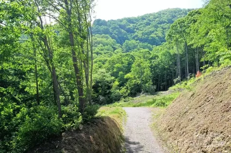 Lot 284 Running Deer Trail Waynesville NC 28786