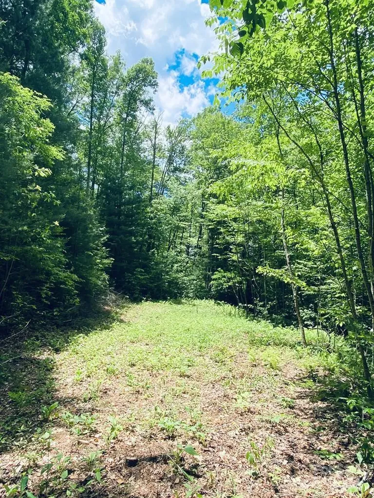 34 Grouse Haven Lane Sylva NC 28779