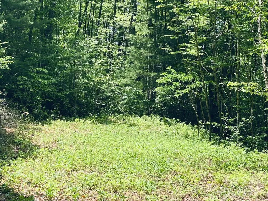 34 Grouse Haven Lane Sylva NC 28779