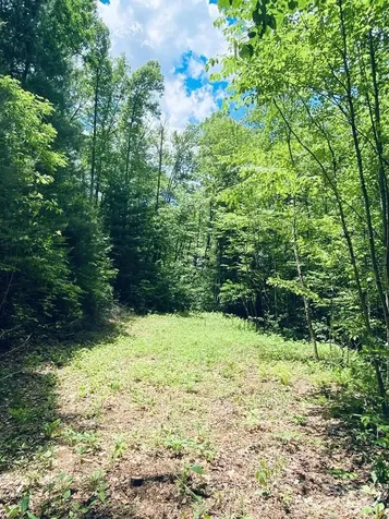 34 Grouse Haven Lane Sylva NC 28779