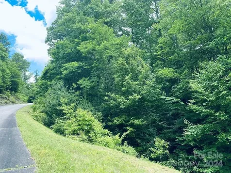 34 Grouse Haven Lane Sylva NC 28779