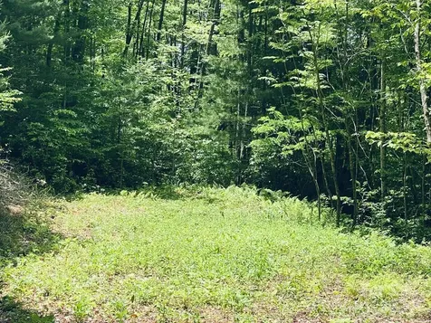 34 Grouse Haven Lane Sylva NC 28779