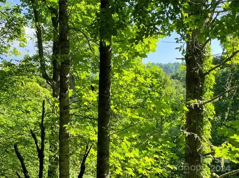 3065 Piney Hill Road Burnsville NC 28714