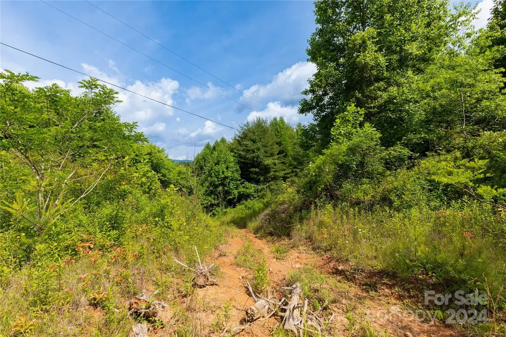 000 Destiny Road Waynesville NC 28785