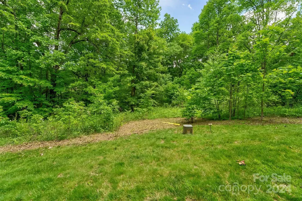 26 Old Lafayette Lane Black Mountain NC 28711