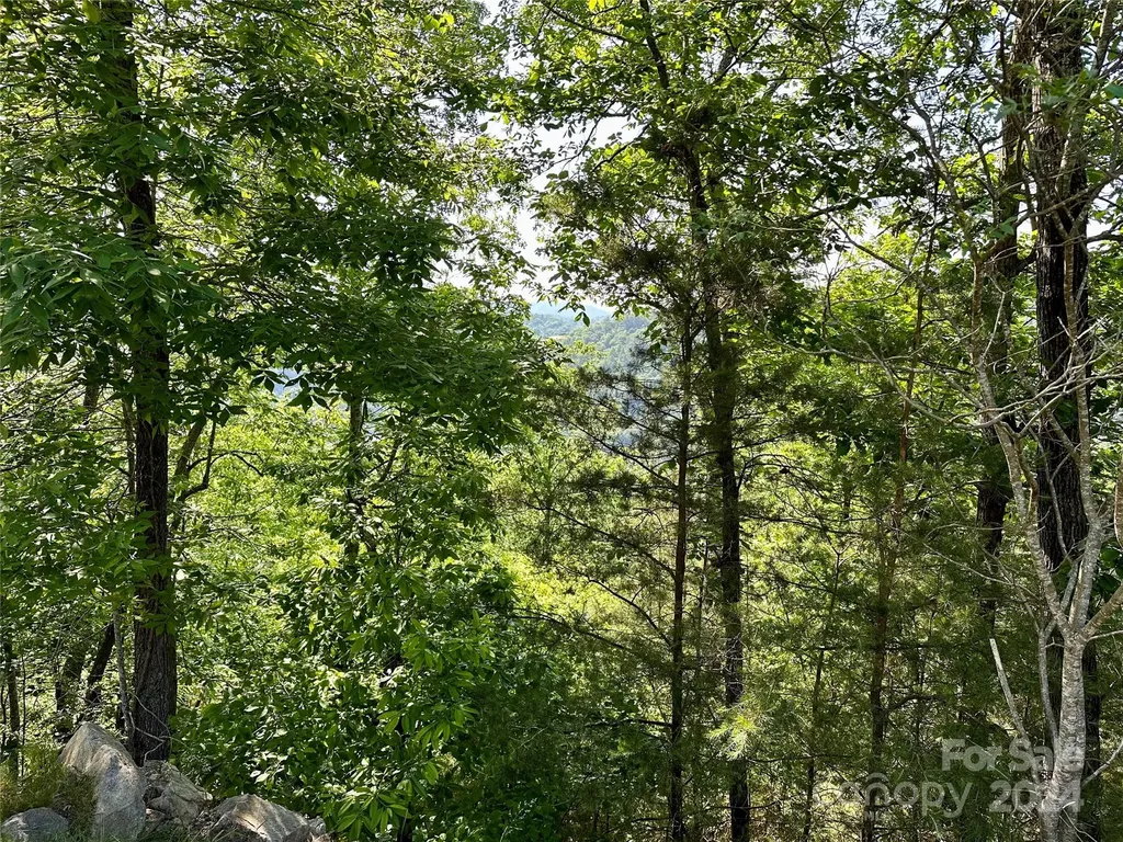 387 Wild River Run Marshall NC 28753