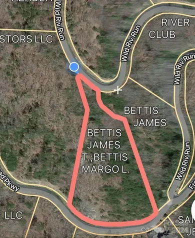 387 Wild River Run Marshall NC 28753
