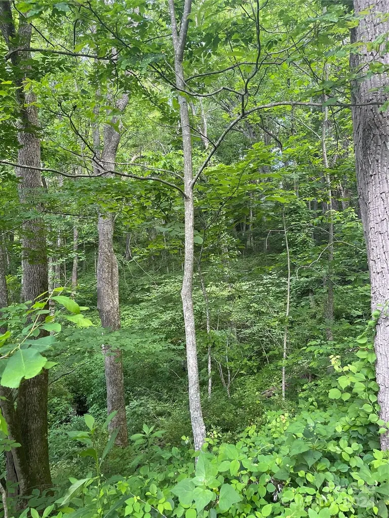 Tbd Mountain Glen Road Canton NC 28716