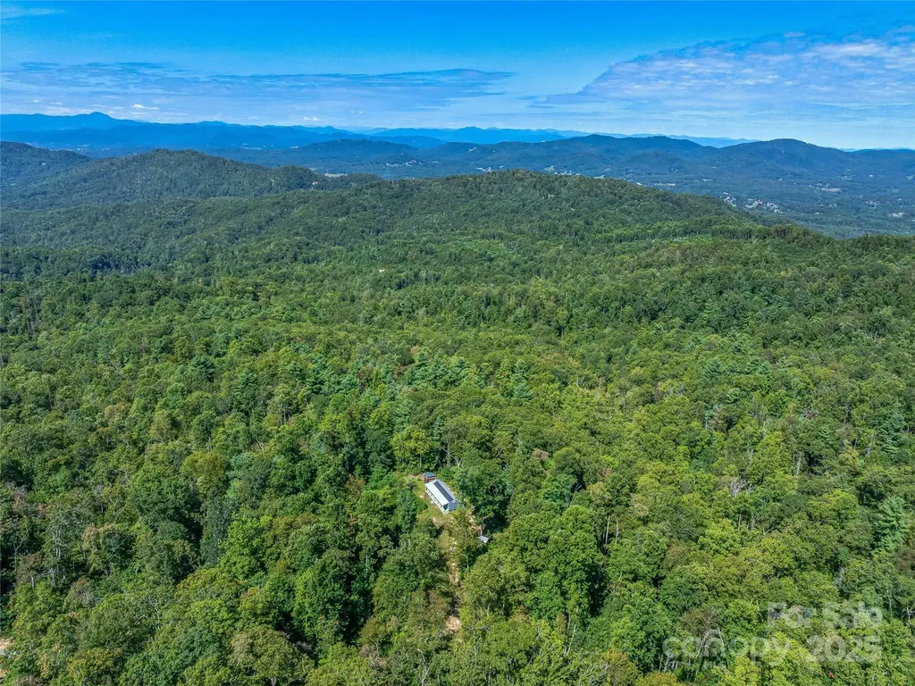 632 Justus Case Mountain Place Hendersonville NC 28792