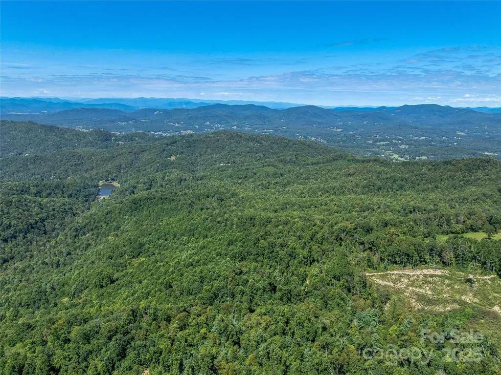 632 Justus Case Mountain Place Hendersonville NC 28792