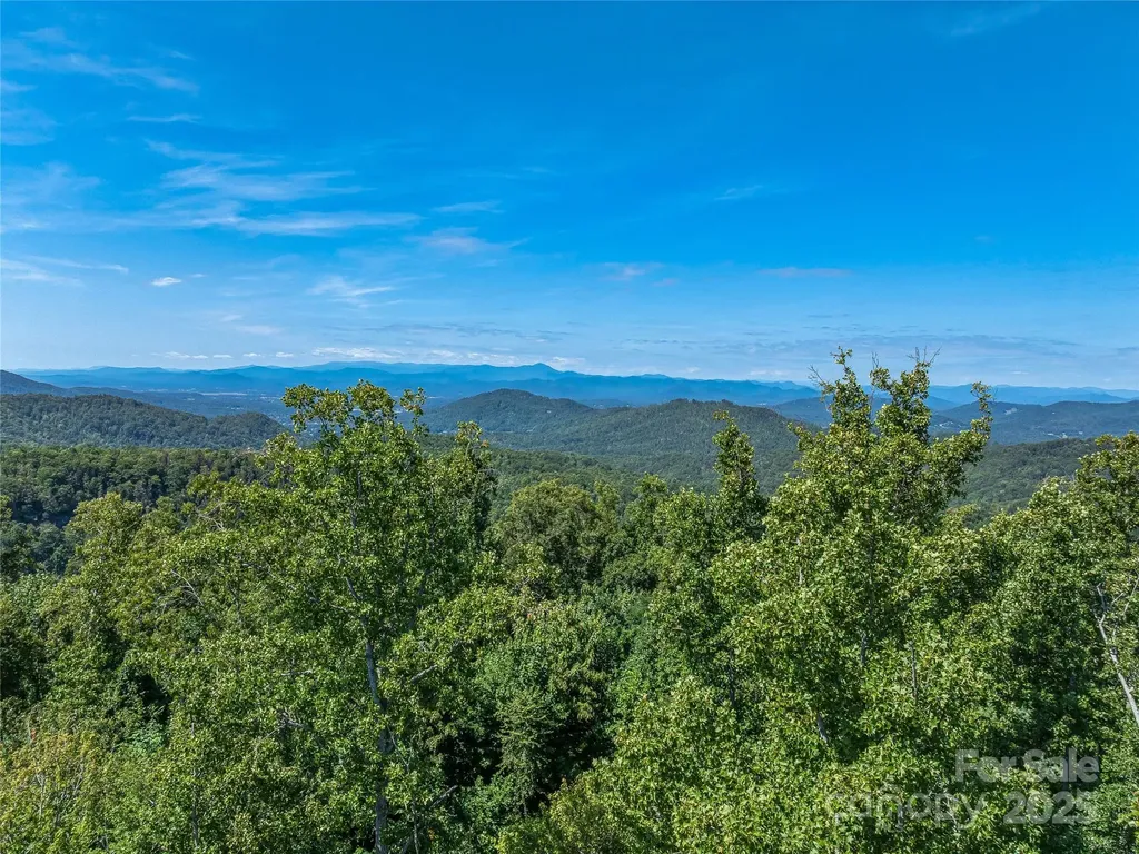632 Justus Case Mountain Place Hendersonville NC 28792