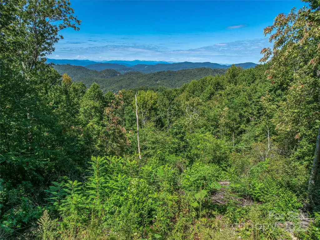 632 Justus Case Mountain Place Hendersonville NC 28792