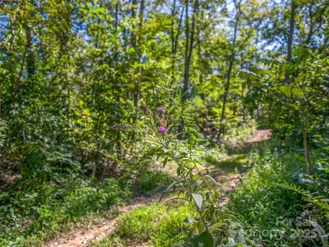 632 Justus Case Mountain Place Hendersonville NC 28792