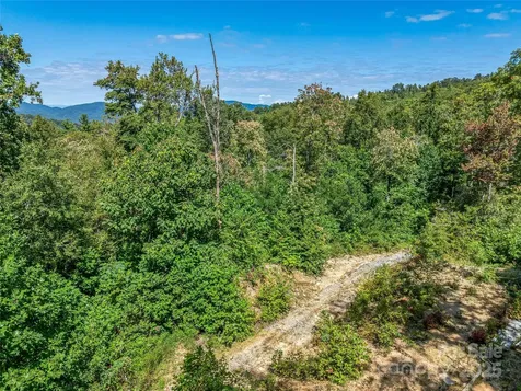632 Justus Case Mountain Place Hendersonville NC 28792