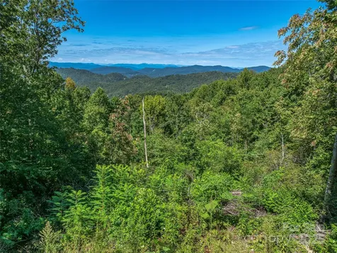 632 Justus Case Mountain Place Hendersonville NC 28792