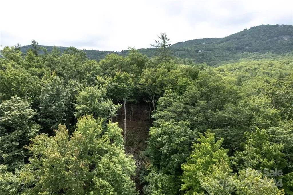 M 38 Cardinal Drive W Lake Toxaway NC 28747