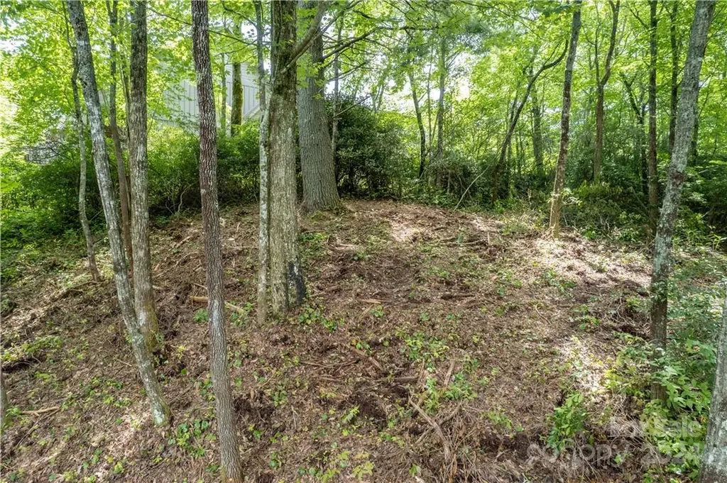 M 38 Cardinal Drive W Lake Toxaway NC 28747