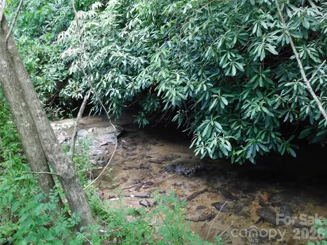 7320 Asheville Highway Pisgah Forest NC 28768