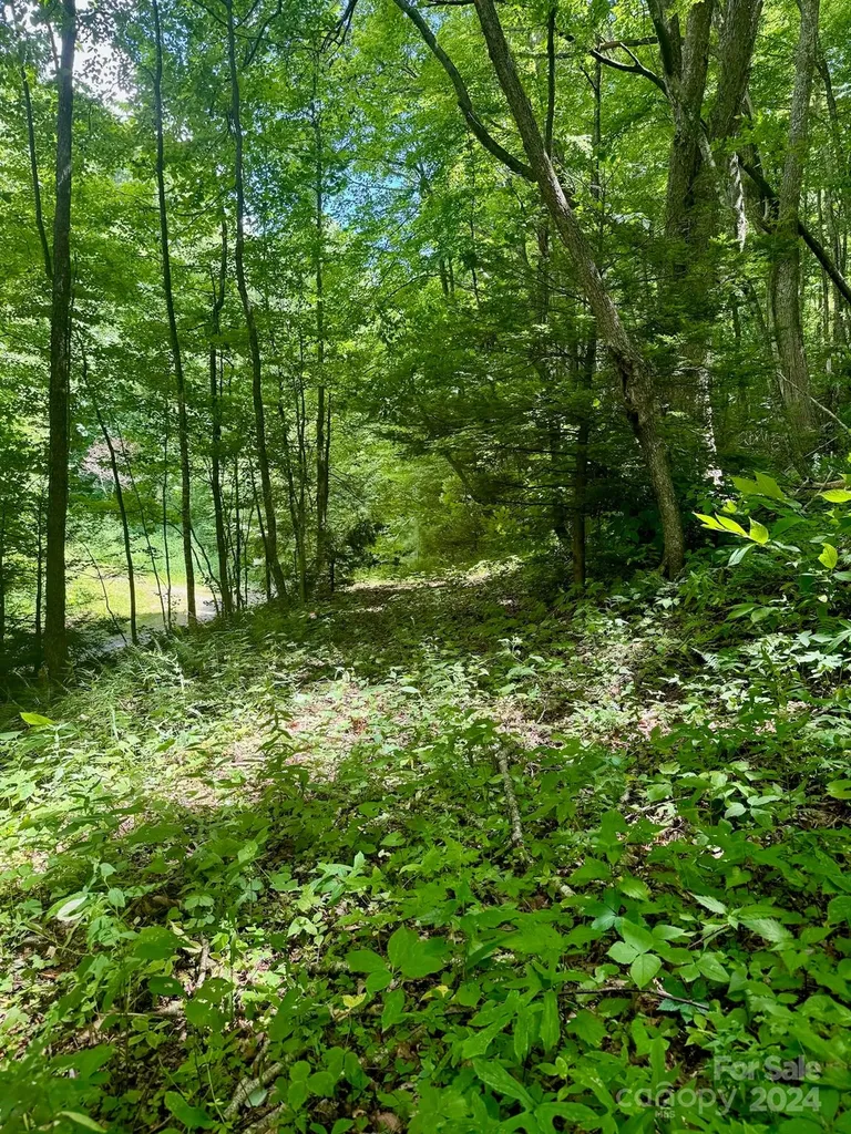 35 Flying Hawk Way Clyde NC 28721