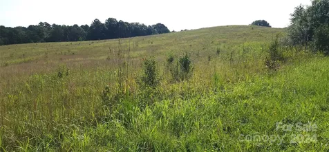 Lot 20 Ar Thompson Road Mill Spring NC 29356
