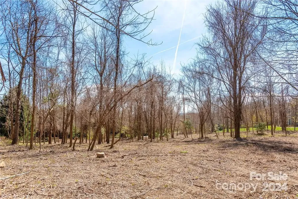 000 Berry Creek Drive Flat Rock NC 28731
