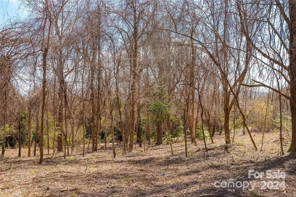 000 Berry Creek Drive Flat Rock NC 28731