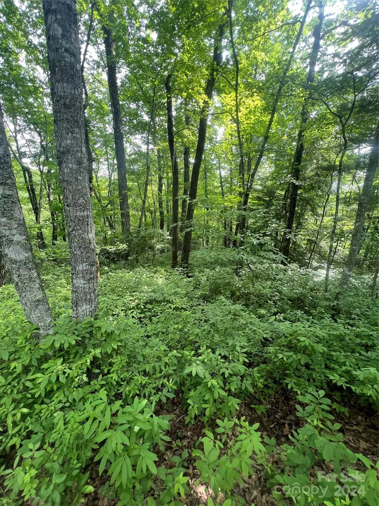 000 Laurel Thicket Lane Brevard NC 28712