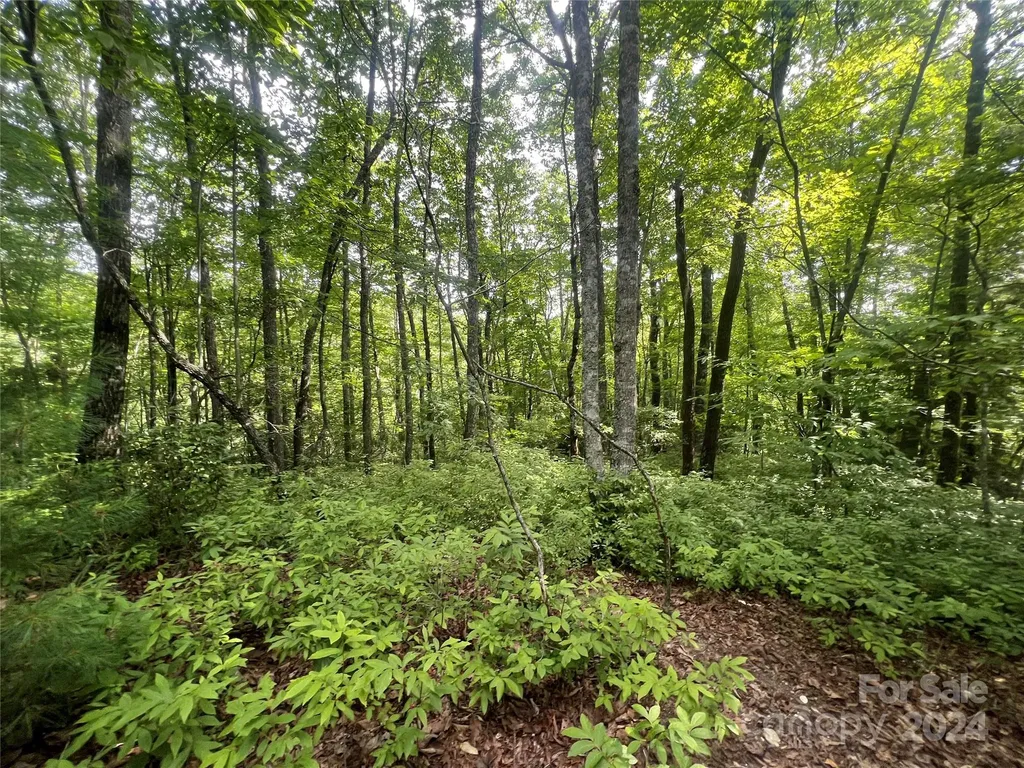 000 Laurel Thicket Lane Brevard NC 28712