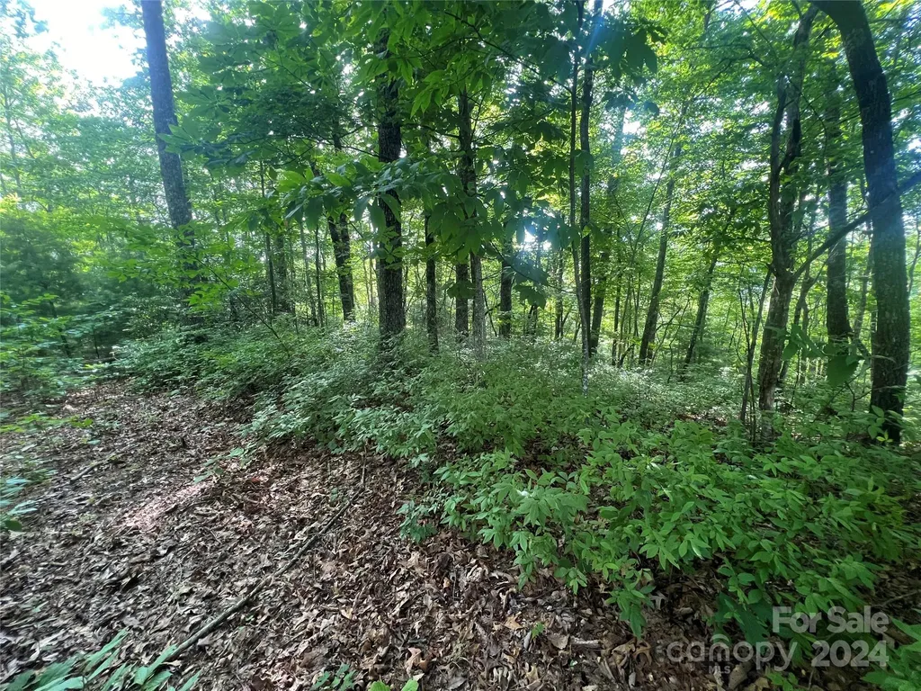 000 Laurel Thicket Lane Brevard NC 28712