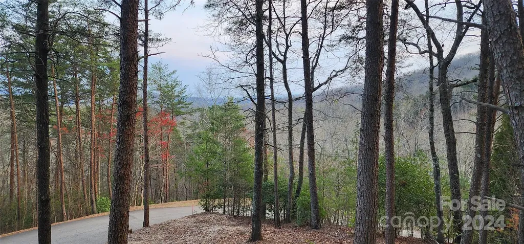 Lot 34 Wilderness Creek Way Murphy NC 28906