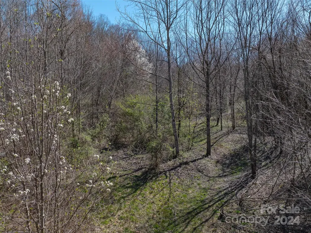00 Woodland Drive Waynesville NC 28786