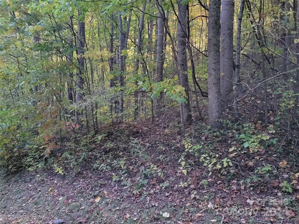 00 Covecrest Lane Maggie Valley NC 28751