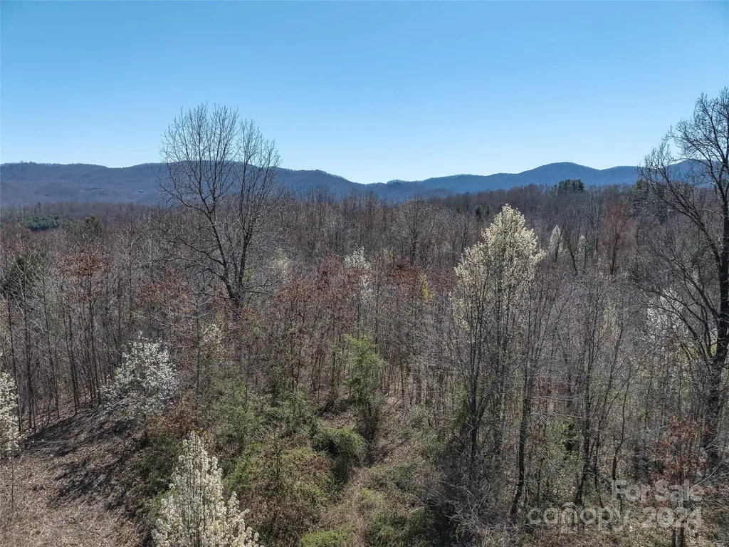 00 Woodland Drive Waynesville NC 28786