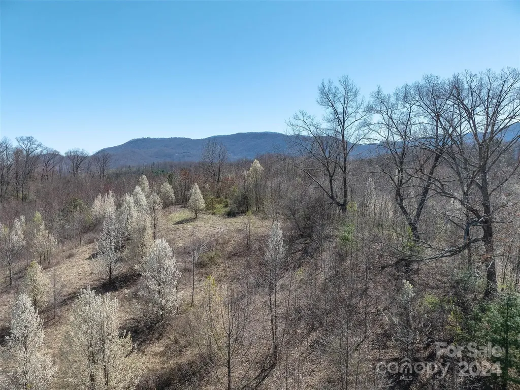 00 Woodland Drive Waynesville NC 28786