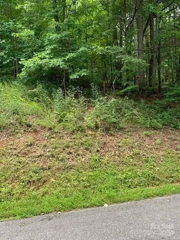 Lot 49-50 Mckenzie Way S Old Fort NC 28762