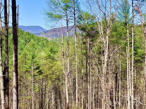 4.73 Acres, Lot 376 Table View Lane Lenoir NC 28645