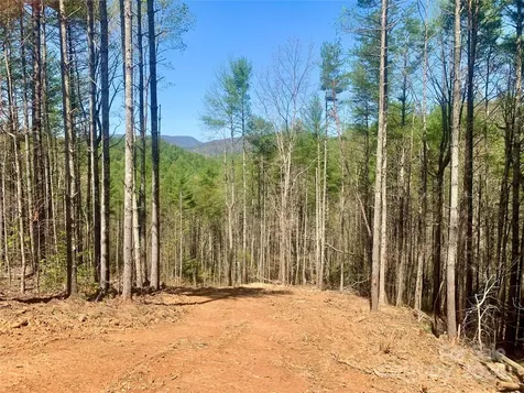 4.73 Acres, Lot 376 Table View Lane Lenoir NC 28645